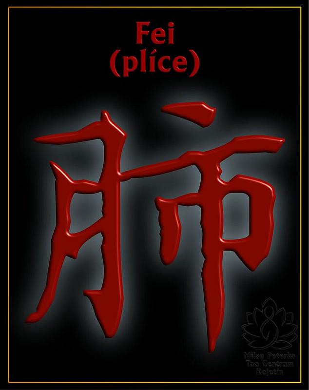 Právě si prohlížíte FEI – PLÍCE