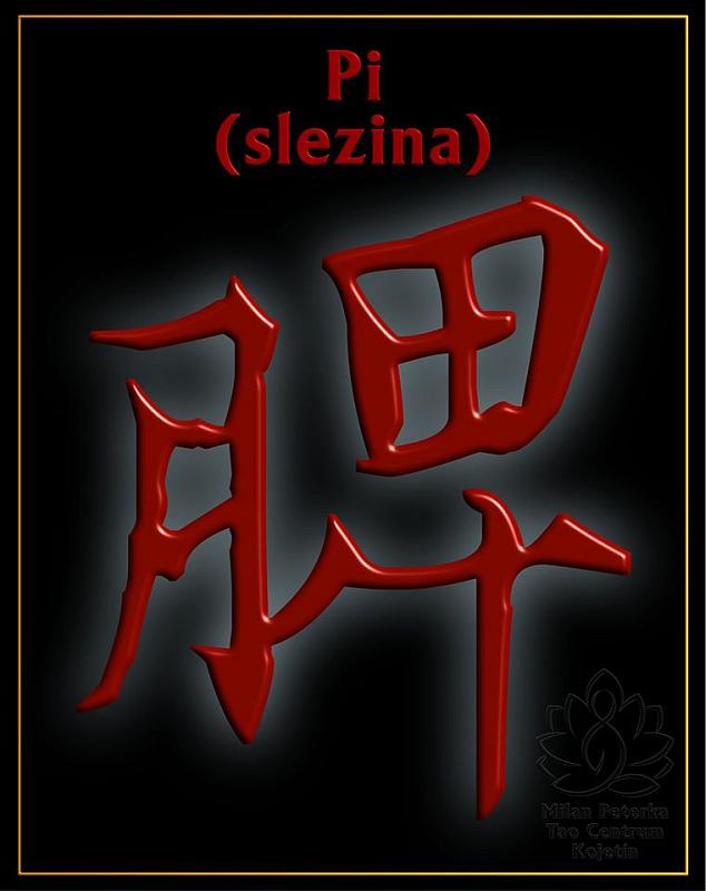 Právě si prohlížíte PI – SLEZINA