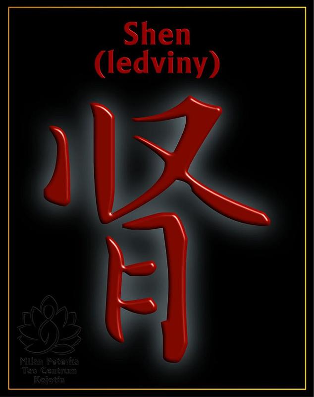 Právě si prohlížíte SHEN – LEDVINY