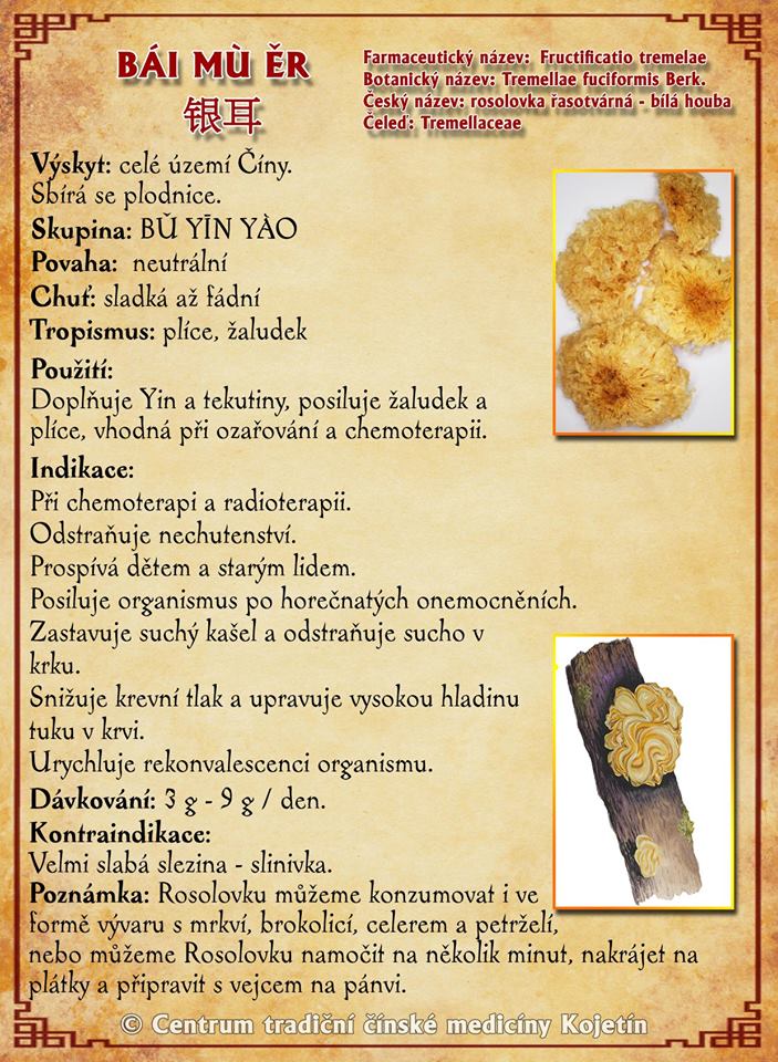 Právě si prohlížíte BYLINA – BAI MU ER