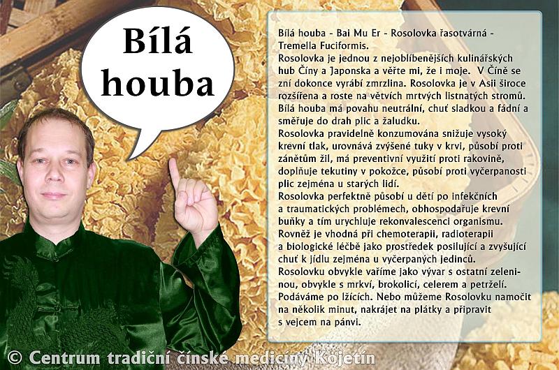 Právě si prohlížíte STRAVA – BÍLÁ HOUBA