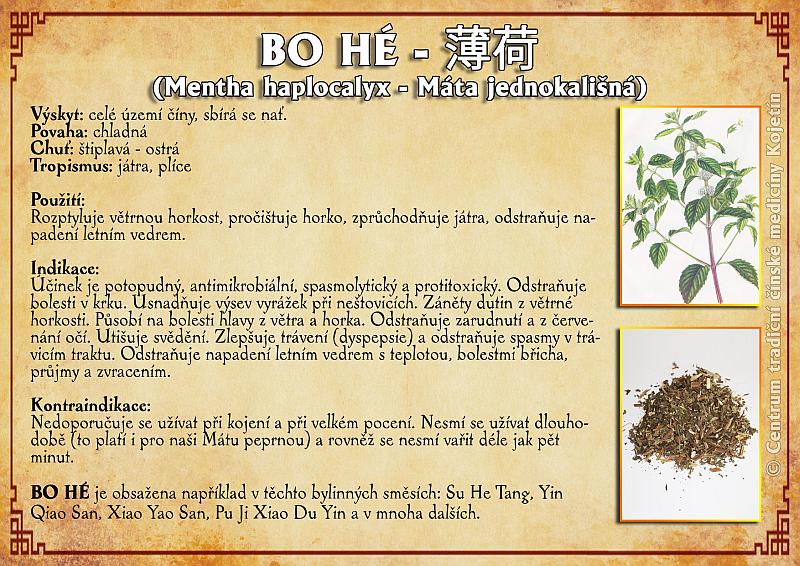 Právě si prohlížíte BYLINA –  BO HE