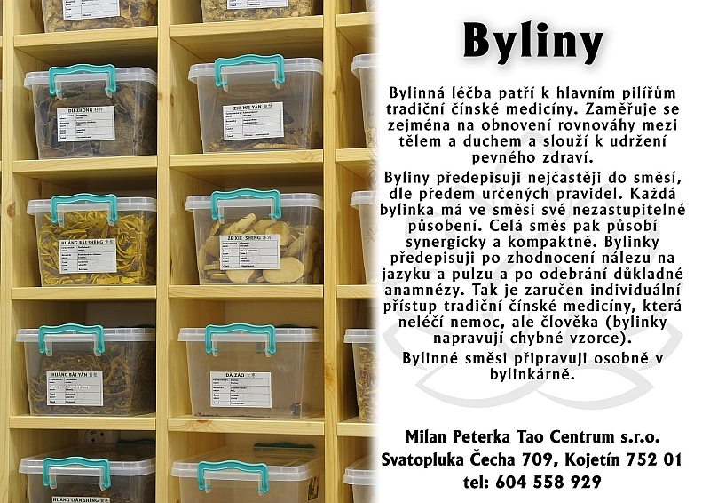Právě si prohlížíte BYLINY