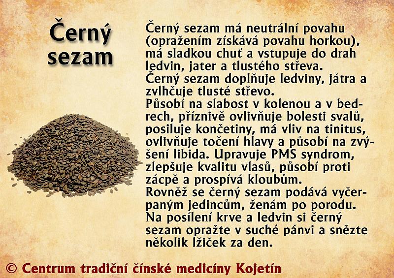 Právě si prohlížíte STRAVA – ČERNÝ SEZAM