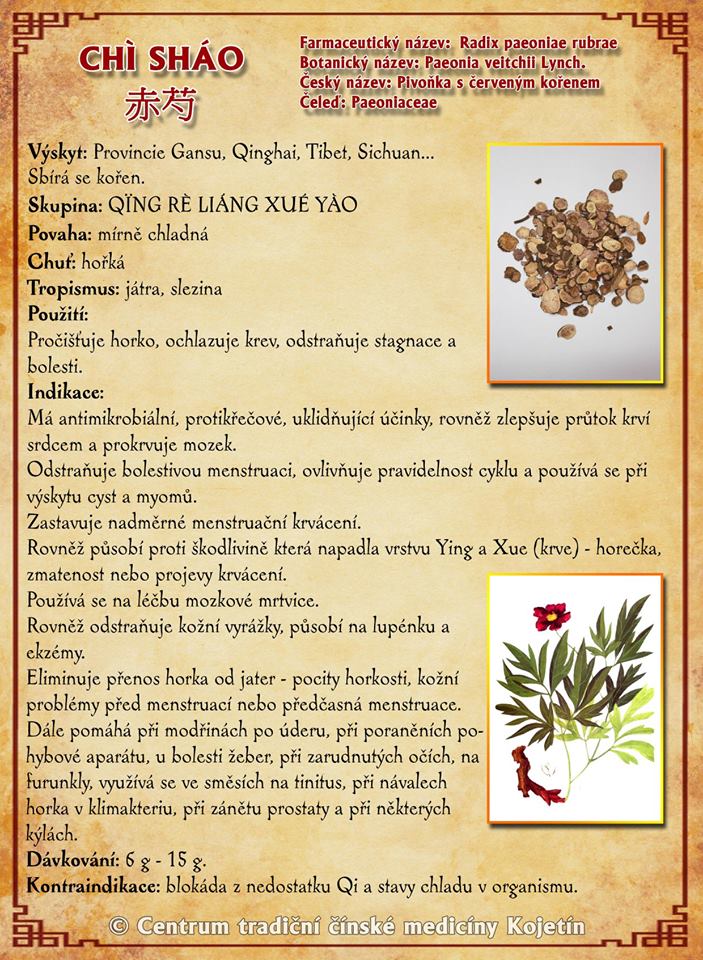 Právě si prohlížíte BYLINA – CHI SHAO