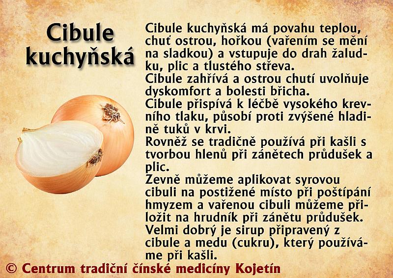 Právě si prohlížíte STRAVA – CIBULE