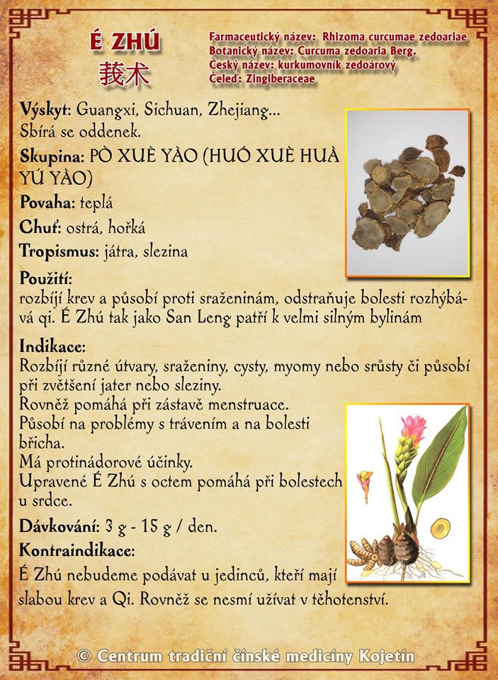 Právě si prohlížíte BYLINA – E ZHU