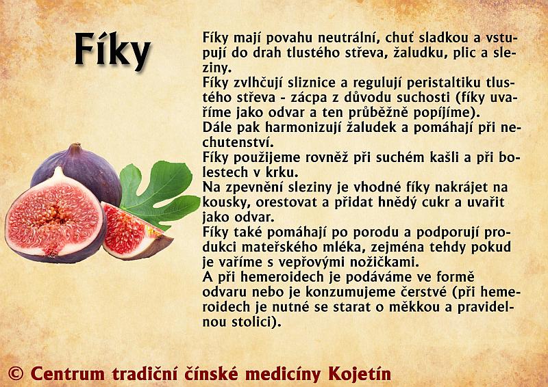 Právě si prohlížíte STRAVA- FÍKY