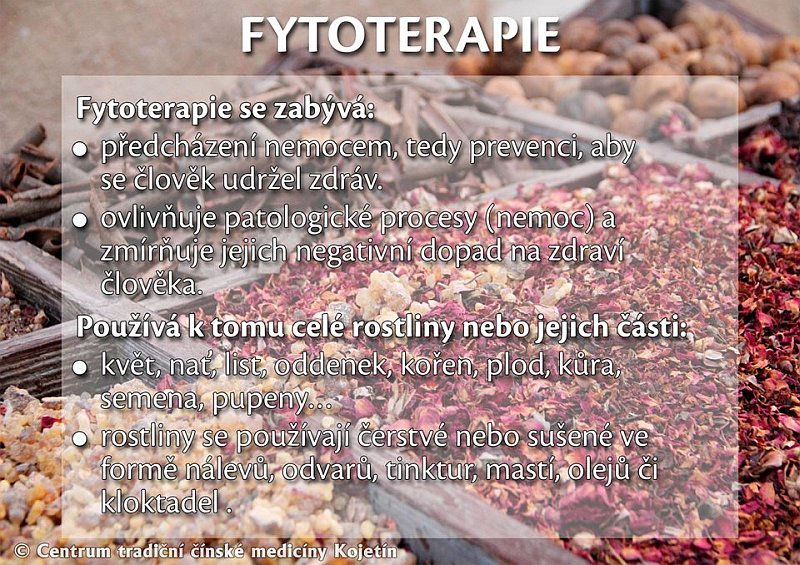 Právě si prohlížíte FYTOTERAPIE