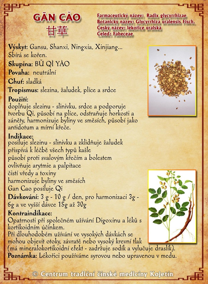 Právě si prohlížíte BYLINA – GAN CAO