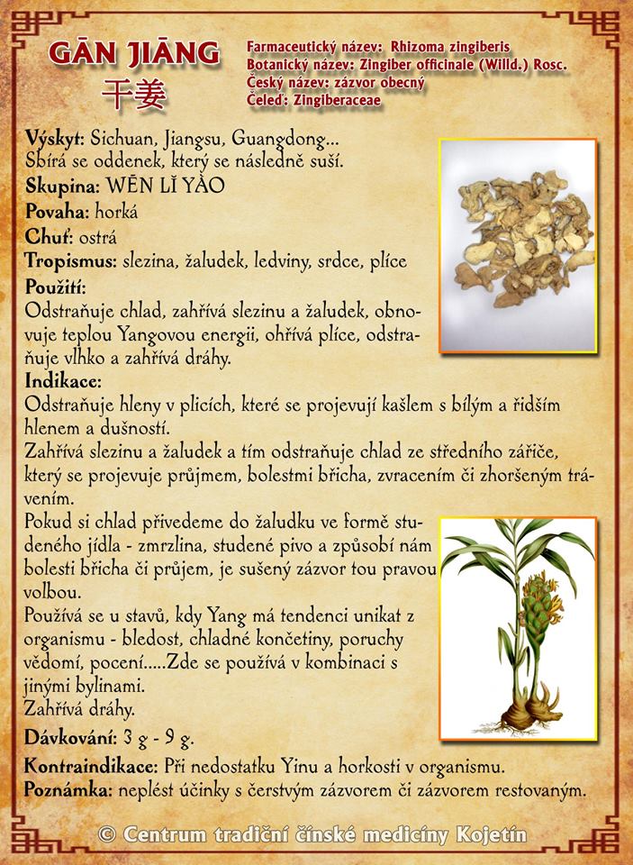 Právě si prohlížíte BYLINA – GAN JIANG