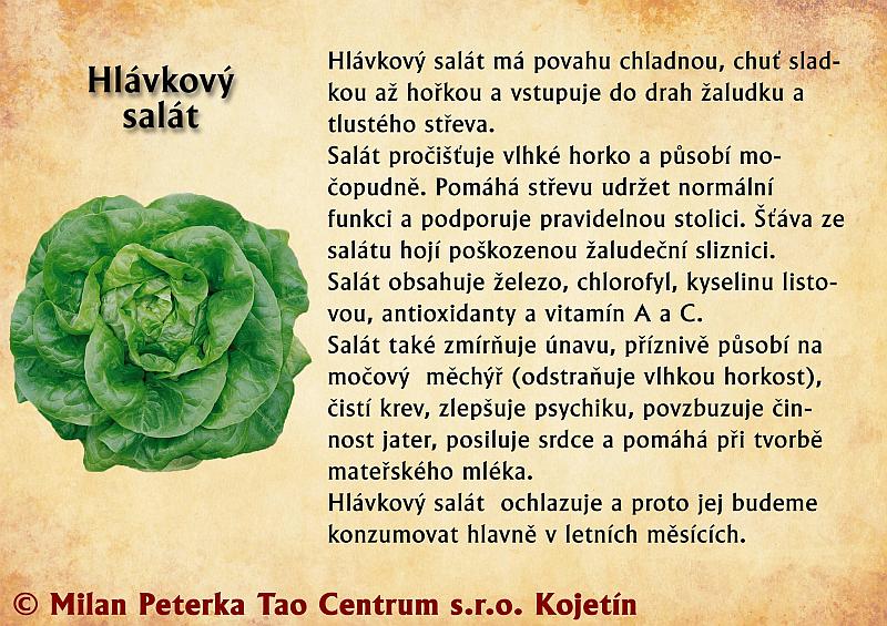 Právě si prohlížíte STRAVA – HLÁVKOVÝ SALÁT