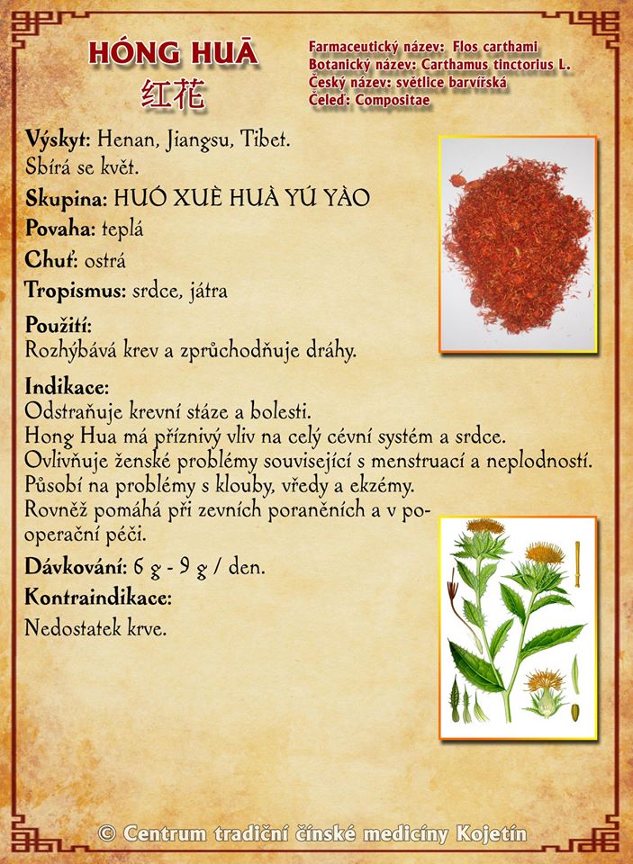 Právě si prohlížíte BYLINA – HONG HUA