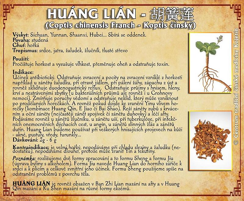 Právě si prohlížíte BYLINA – HUANG LIAN