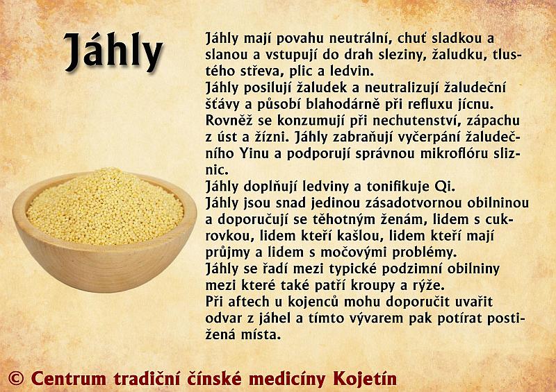 Právě si prohlížíte STRAVA – JÁHLY