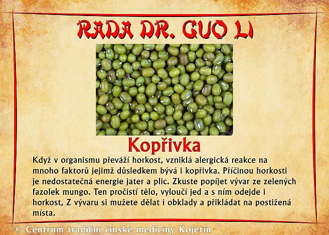 Právě si prohlížíte RADA DR. GUO LI – KOPŘIVKA