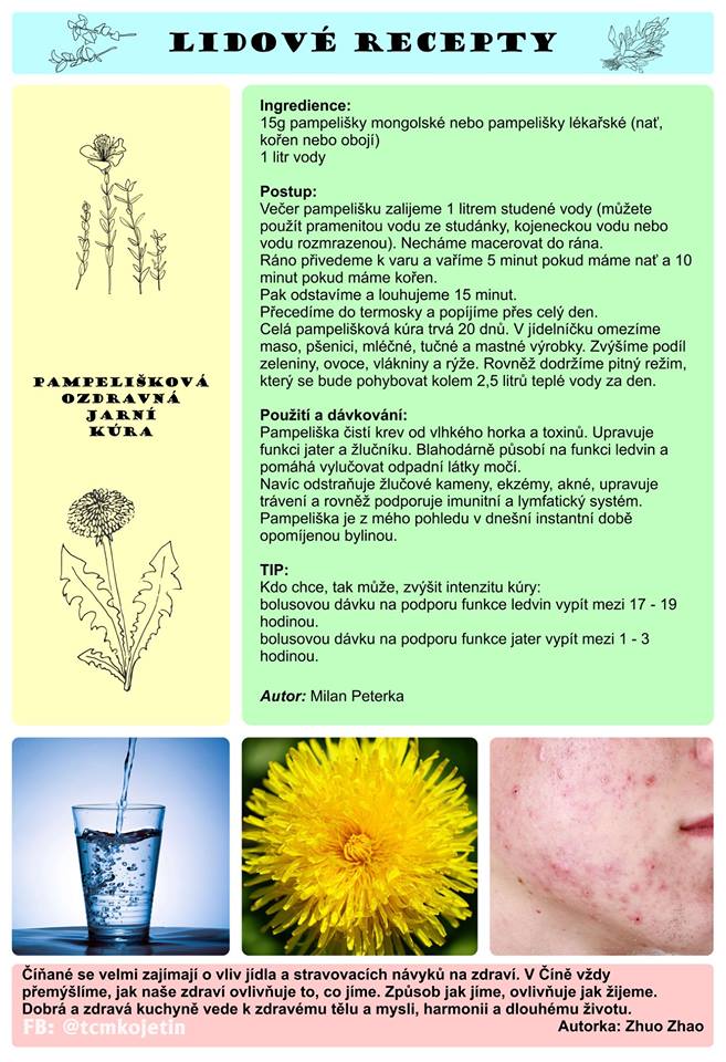 Právě si prohlížíte LIDOVÉ RECEPTY – 28. DÍL – PAMPELIŠKOVÁ OZDRAVNÁ JARNÍ KÚRA