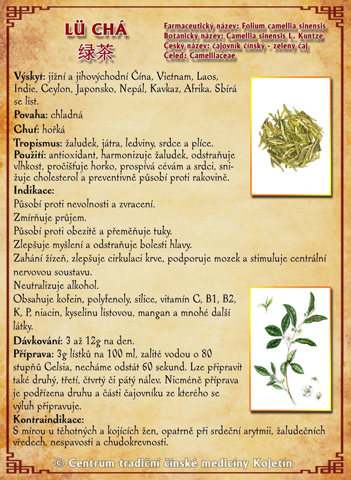 Právě si prohlížíte BYLINA – LU CHA