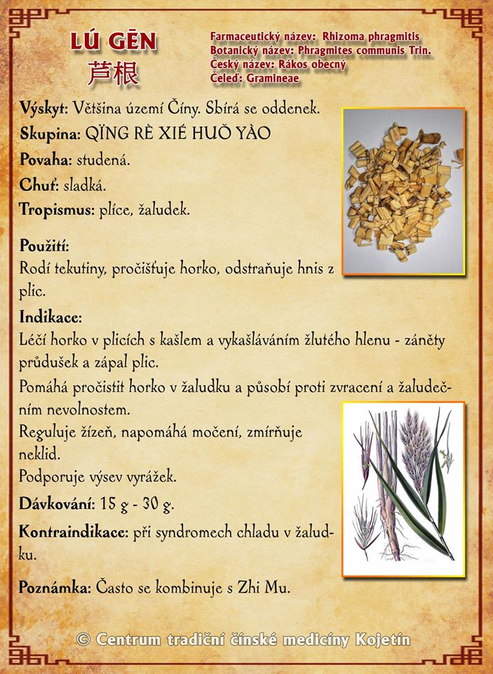 Právě si prohlížíte BYLINA – LU GEN