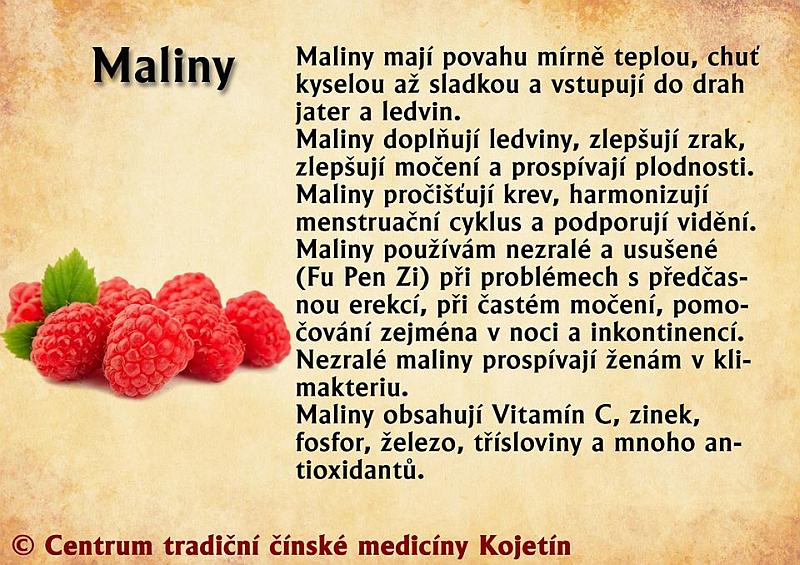 Právě si prohlížíte STRAVA- MALINY