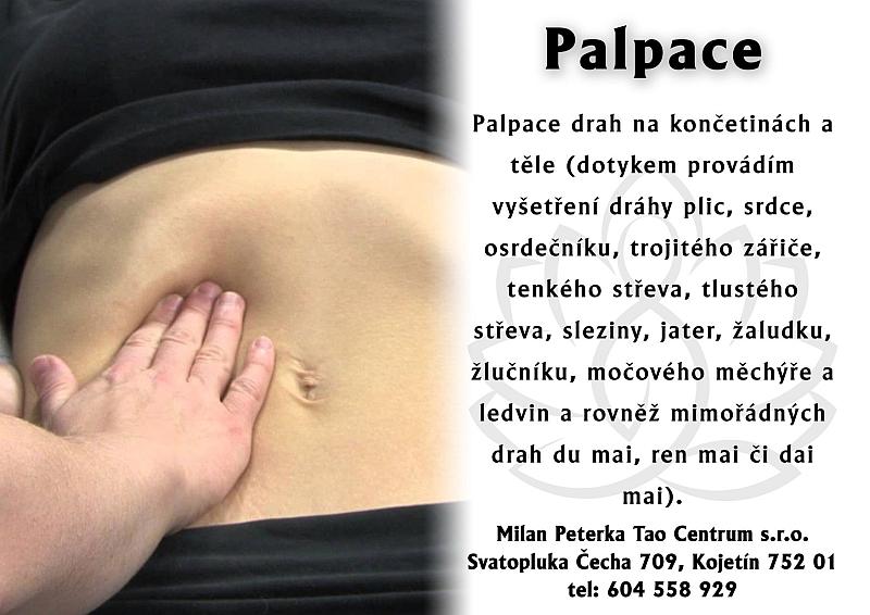 Právě si prohlížíte PALPACE