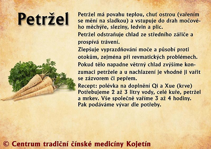 Právě si prohlížíte STRAVA – PETRŽEL