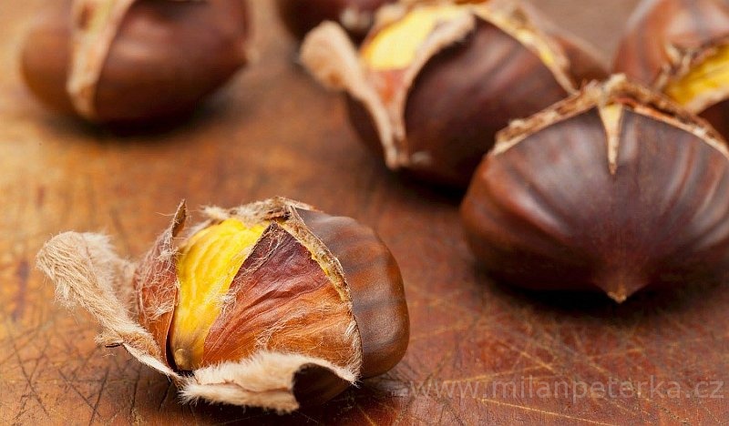 Právě si prohlížíte RECEPT DR. GUO LI PŘI IMPOTENCI