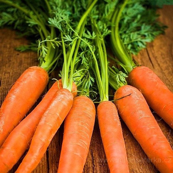 Právě si prohlížíte RECEPT DR. GUO LI – MRKEV