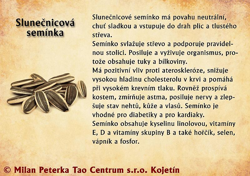 Právě si prohlížíte STRAVA – SLUNEČNICOVÁ SEMÍNKA