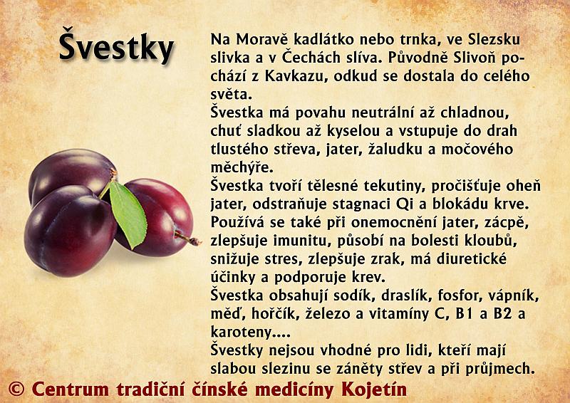 Právě si prohlížíte STRAVA – ŠVESTKY
