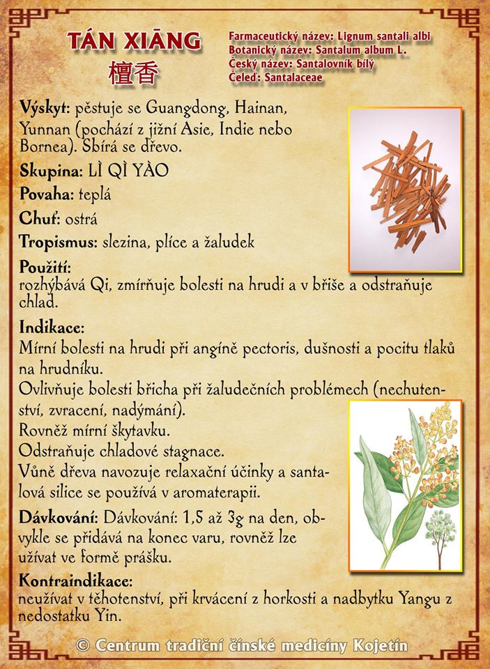 Právě si prohlížíte BYLINA – TAN XIANG