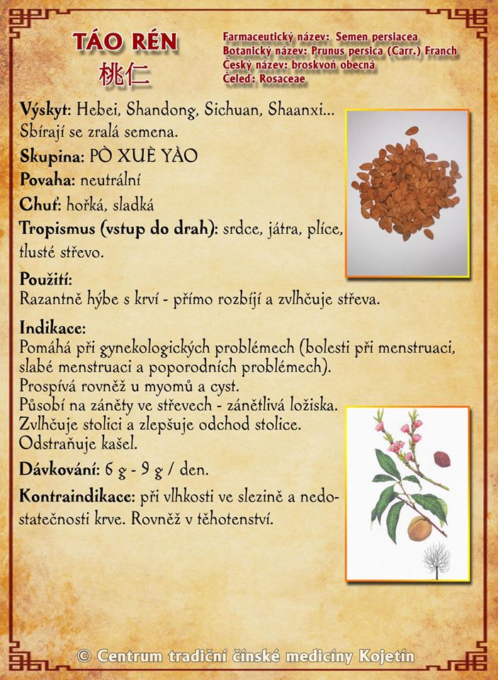 Právě si prohlížíte BYLINA – TAO REN