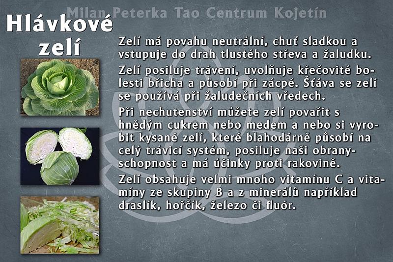 Právě si prohlížíte STRAVA – HLÁVKOVÉ ZELÍ